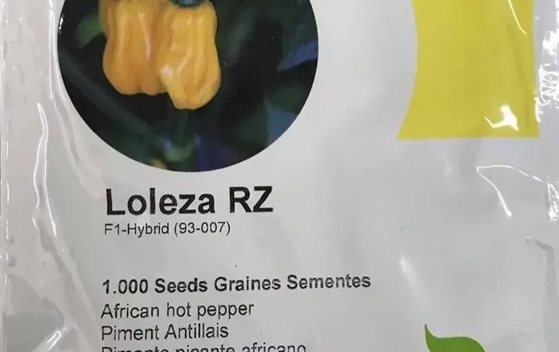 Yellow Hot Pepper-Loleza RZ F1