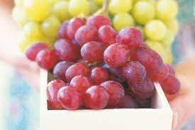 download 57 Foreign grape,exotic fruits,imported grapes,fresh grapes,sweet grapes Foreign grape (1pack)