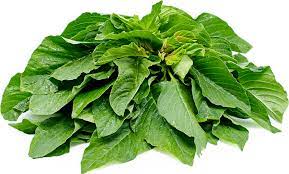 download 2023 03 25T103832.391 Spinach Seeds (Green Tete Vegetable) Spinach Seeds (Green Tete Vegetable)