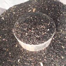 Spinach Seeds (Green Tete Vegetable)
