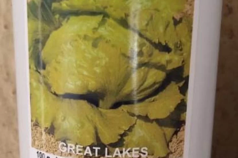 Great Lakes