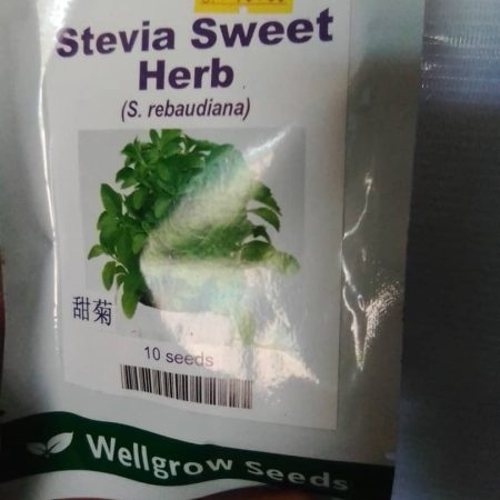 Stevia Sweet Herb