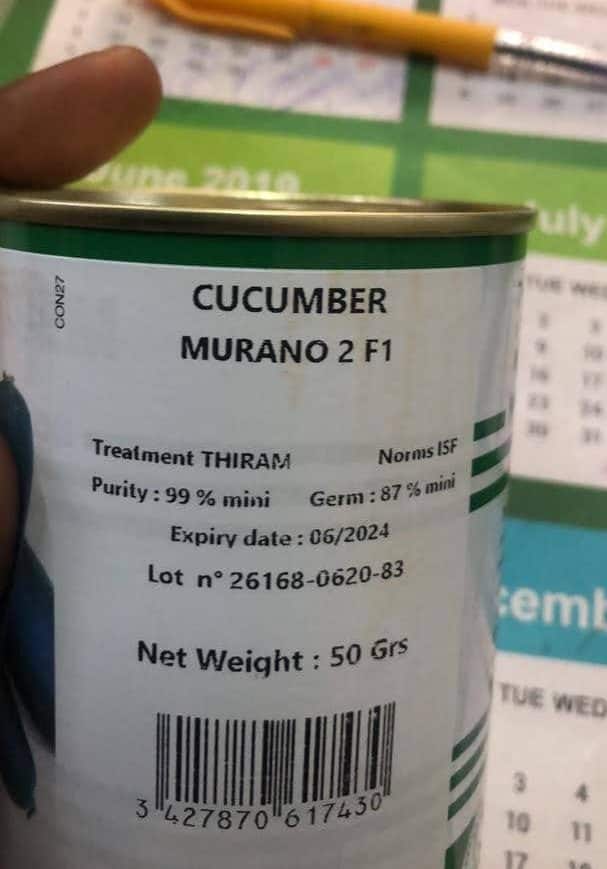 Murano 2 F1 Hybrid Cucumber Seeds