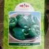Ganga Sweet Pepper Seeds