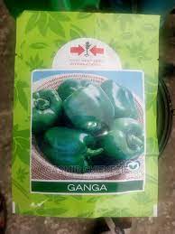 Ganga Sweet Pepper Seeds