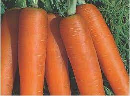 download 2 Nantes Carrot Seeds,sweet carrots,easy to grow vegetables Nantes Carrot Seeds (Royal Seeds Brand)