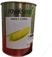 download 2023 06 22T150948.215 Hybrix F1 Sweetcorn Seeds (Royal Seeds) Hybrix F1 Sweetcorn Seeds (Royal Seeds)