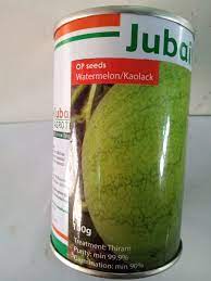 Kaolack Watermelon Seed