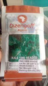 Kale 1000 Headed Seeds
