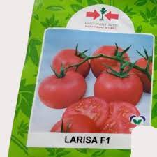 Larisa F1 Hybrid Tomato Seeds
