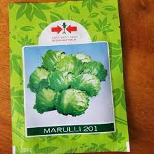 Marulli 201 Hybrid Cabbage Seeds