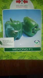 Mekong F1 sweet Pepper Eastwest seeds