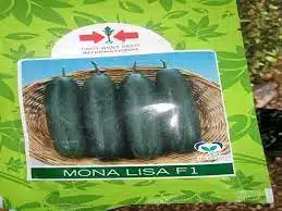 Monalisa F1 Hybrid Cucumber Seeds (East-West Seeds Brand)