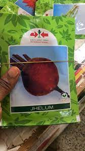 Beetroot Jhelum Seeds