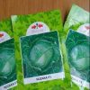 Nuzuka F1 Cabbage Seeds