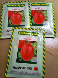 download 81 Crown F1 Tomato seeds,Simlaw Seeds,determinate tomato,medium-sized tomato,blocky-round tomato Crown F1 Tomato seeds (Simlaw seeds brand ) 25g