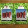 Efia F1 Hybrid Habanero Hot Pepper Seeds