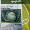 Gloria Star F1 Hybrid Cabbage Seeds