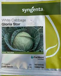 Gloria Star F1 Hybrid Cabbage Seeds