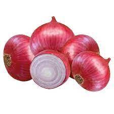 download 17 Prema Red Onion Seeds,onion seeds,red onion seeds,organic red onion seeds Prema Red Onion Seeds (East-West Seeds Brand)
