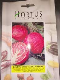 Red Cabbage Cabeza Negra Seeds