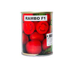 download 24 Rambo F1 Tomato Seeds,tomato seeds,high-yielding tomatoes,disease-resistant tomatoes,sweet tomatoes Rambo F1 Tomato Seeds (Royal Seeds Brand)