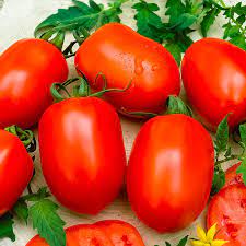 download 26 Ranger F1 Hybrid Tomato Seeds,high-yielding tomatoes,disease-resistant tomatoes,tomato seeds Ranger F1 Hybrid Tomato Seeds (Continental Seeds Brand)