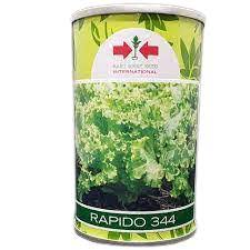 Rapido 344 Lettuce seeds