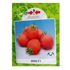 Diva F1 Hybrid Tomato Seeds (East-West Seeds Brand) – 5g