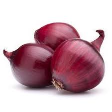 images Onion Red Coach F1 Seeds,red onion seeds,onion seeds for sale,hybrid onion seeds,onion seeds for planting Onion Red Coach F1 Seeds (Enza Zaden | 25,000 seeds)