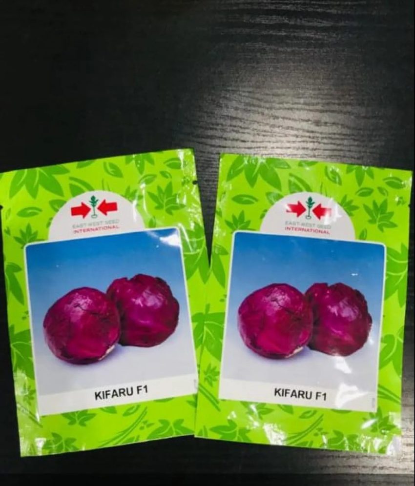 Kifaru F1 Hybrid Cabbage Seed