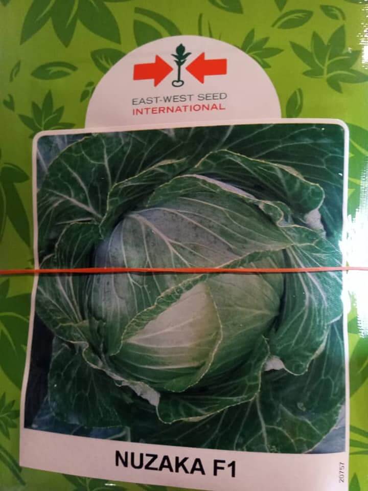 Nuzaka F1 Cabbage Seeds