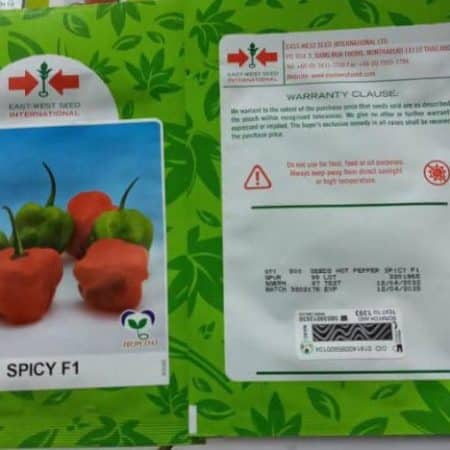 Spicy f1 Chili Pepper 500 Seeds