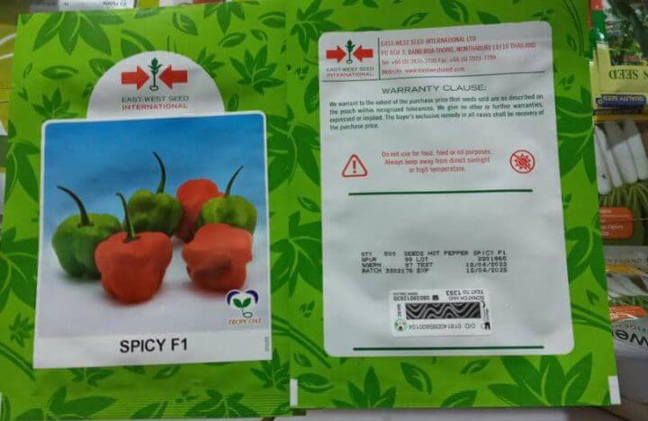 Spicy f1 Chili Pepper 500 Seeds