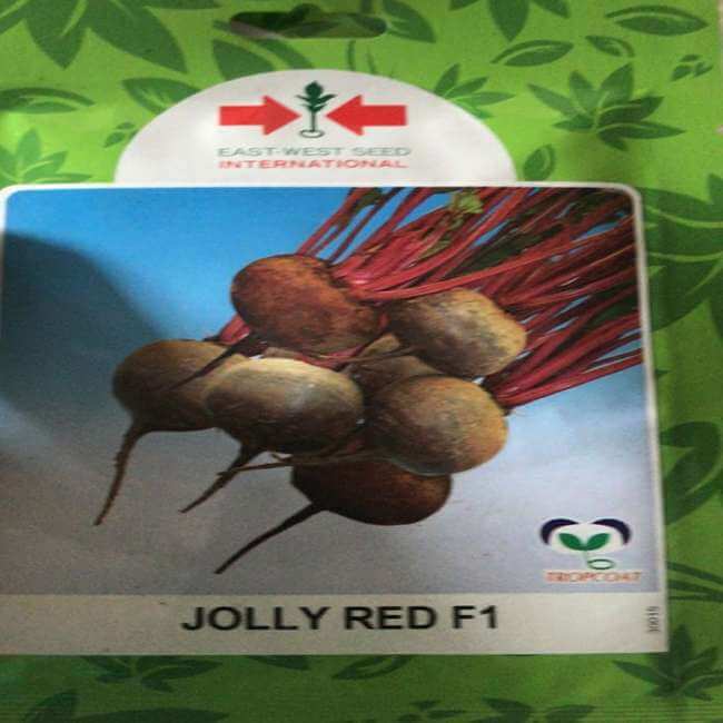 Jolly Red F1 Beetroot Seeds