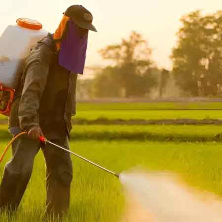 Agricultural Chemicals