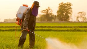 Can Herbicide Kill Humans? We Have the Answers