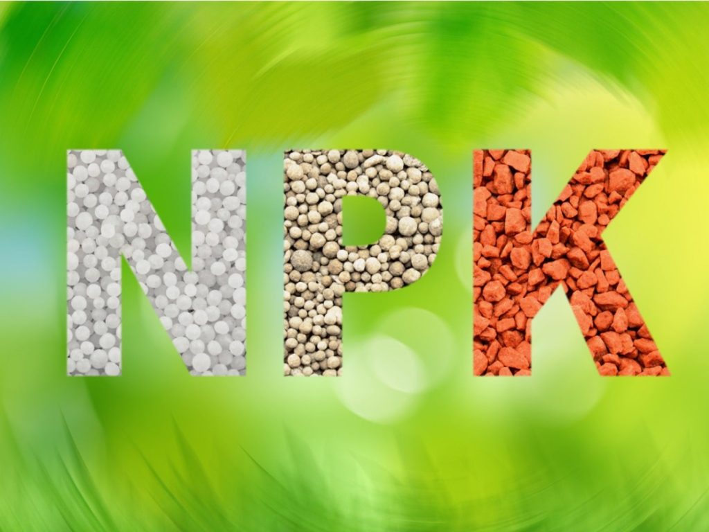 Optimizing Your Soil with Balanced NPK Fertilizers