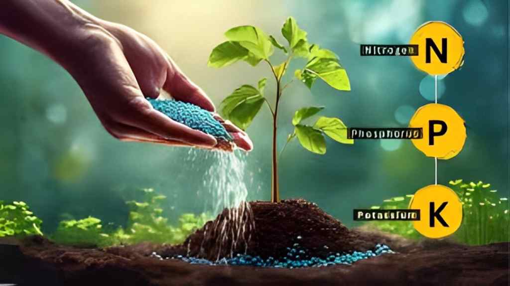 download 27 1 Optimizing Your Soil with Balanced NPK Fertilizers,What is NPK and How Does it Impact Your Soil?,Fertilizer Choices Balancing the NPK Ratio for Optimal Soil Health,Types of Balanced NPK Fertilizers Available,Benefits of Using Triple Action NPK Fertilizers,High Potency NPK Optimizing Soil Without Overfertilizing,All Purpose NPK Why This Fertilizer is So Popular,Plant Booster with the N P K Ratio What You Need to Know,NPK,Fertilizer,Balanced NPK,Triple Action NPK,High Potency NPK,All Purpose NPK,Plant Booster with the N P K Ratio of Optimizing Your Soil with Balanced NPK Fertilizers