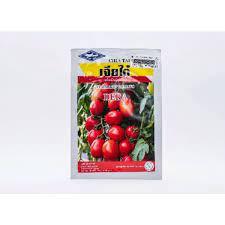 chia tai f1 tomato seed 5g