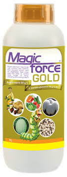 Magic force