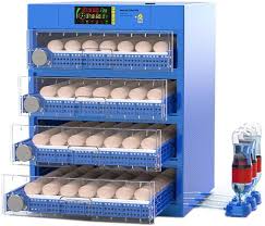 256 eggs capacity incubator