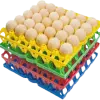 commercial and breeder egg crates