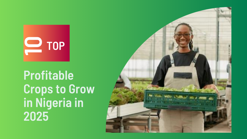 Violet Gradient Best Podcast Practices Blog Banner 2 Top 10 Profitable Crops to Grow in Nigeria in 2025,Cassava,Rice,Maize,Tomatoes Top 10 Profitable Crops to Grow in Nigeria in 2025