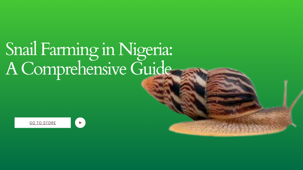 Snail Farming in Nigeria: A Comprehensive Guide