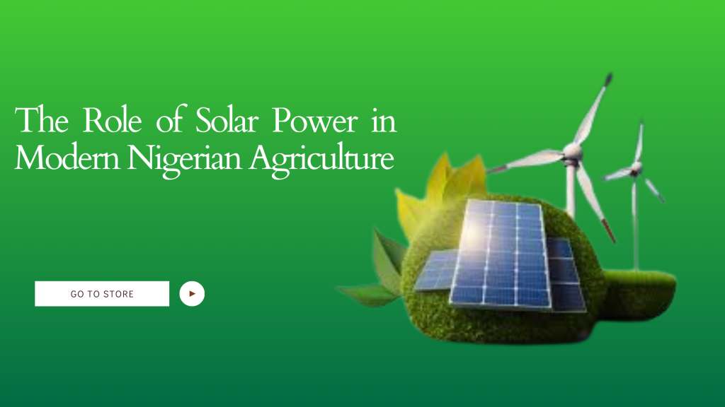 The Role of Solar Power in Modern Nigerian Agriculture