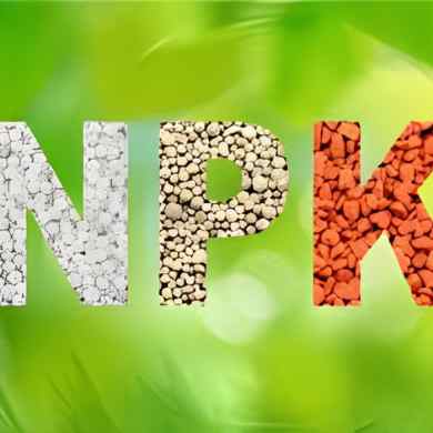 Optimizing Your Soil with Balanced NPK Fertilizers